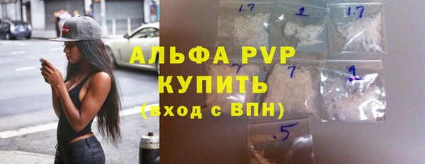 стафф Арсеньев