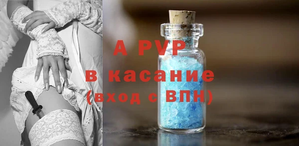 стафф Арсеньев