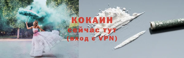стафф Арсеньев