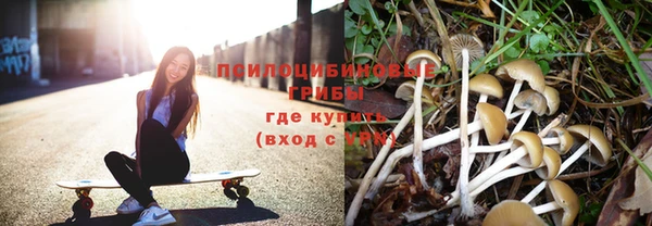 дмт Армянск